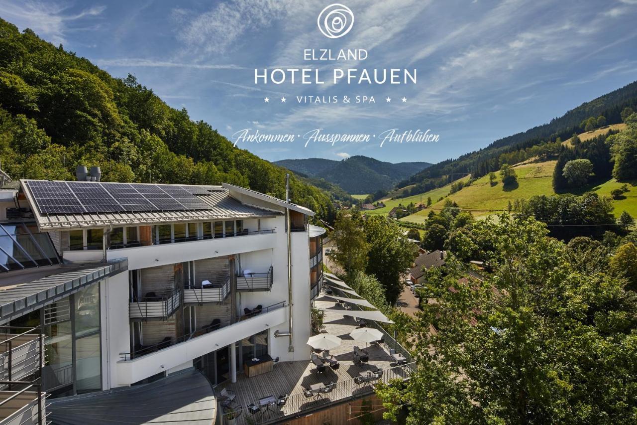 Elzland Hotel Pfauen Wellness & Spa Elzach Exterior foto